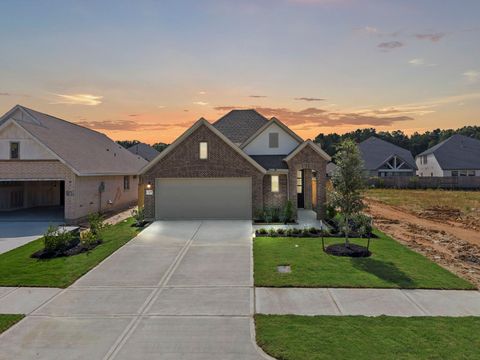 Photo of 229 Violet Crown Lane, New Caney, TX 77357 (MLS # 55161059)