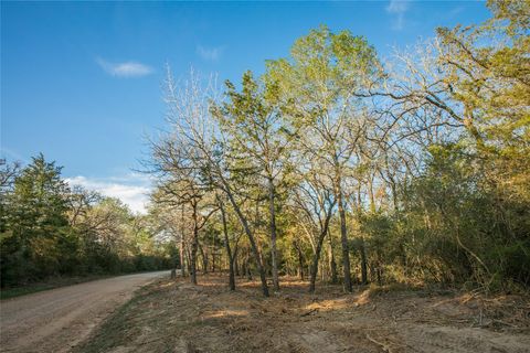 Vacant Land For Sale - TBD Schoenau Rd<br/> Austin County, Brenham, TX 77833