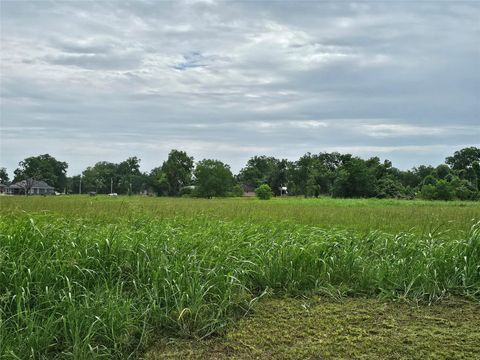 Photo of 21 Wrangler Bend, Angleton, TX 77515 (MLS # 81394833)