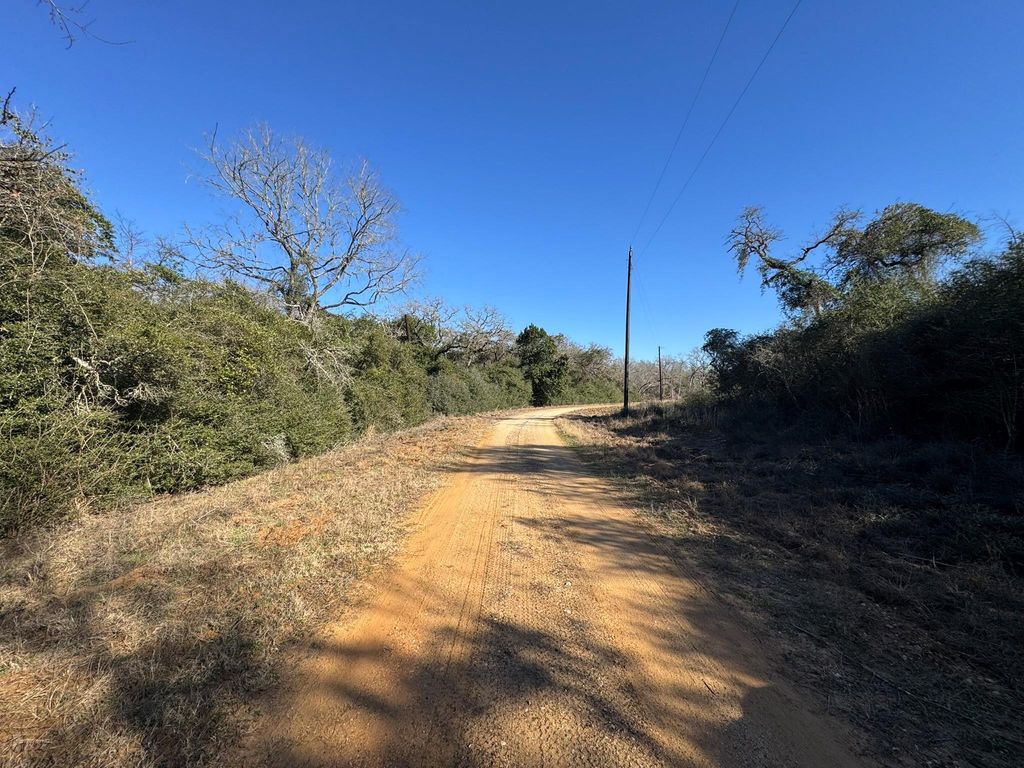 Photo of 0 Sycamore Branch Drive, Hilltop Lakes, TX 77871 (MLS # 88237171)