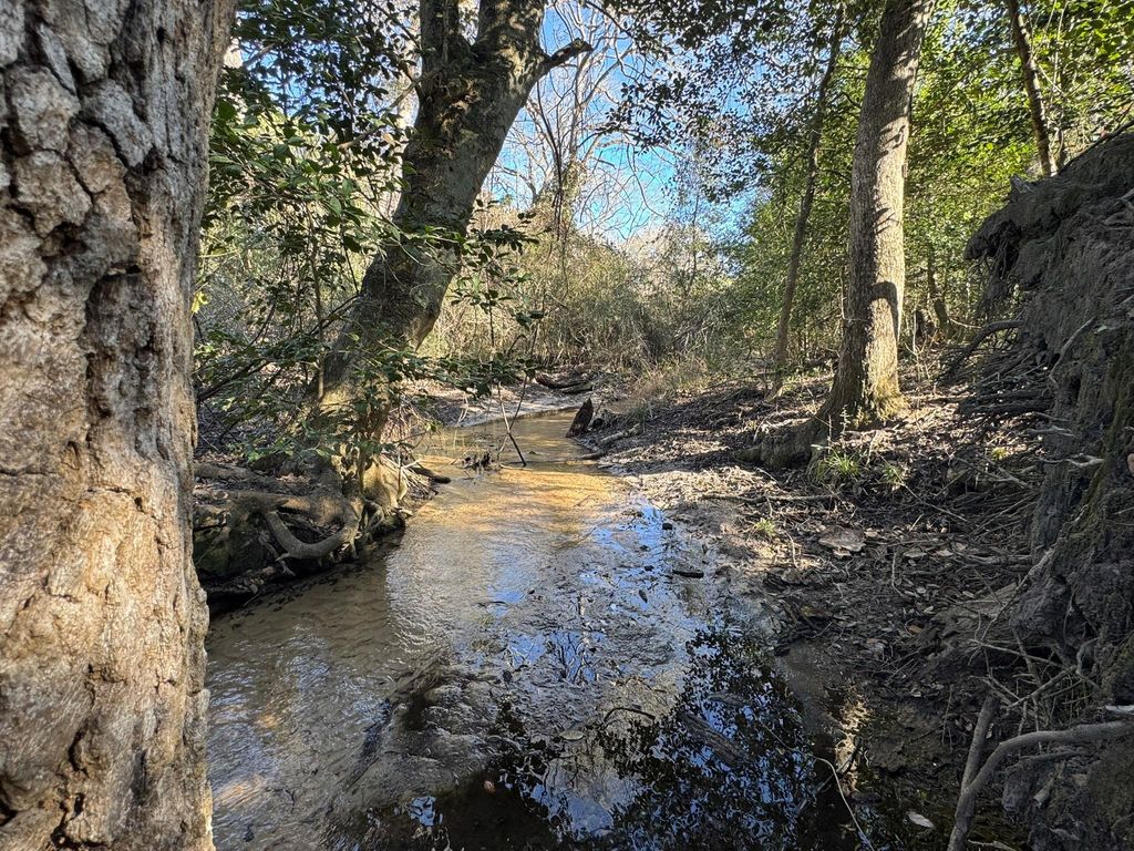 Photo of 0 Sycamore Branch Drive, Hilltop Lakes, TX 77871 (MLS # 88237171)