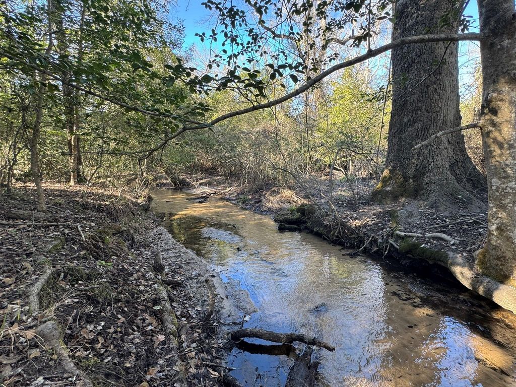 Photo of 0 Sycamore Branch Drive, Hilltop Lakes, TX 77871 (MLS # 88237171)