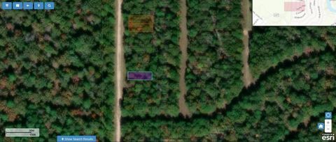 Photo of 212 Pineneedle, Livingston, TX 77351 (MLS # 68461995)