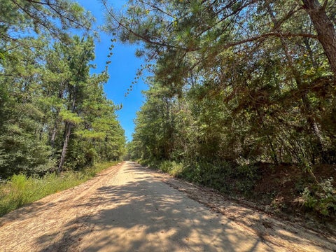 Vacant Land For Sale - 7 County Road 3230<br/> Tyler County, Colmesneil, TX 75938