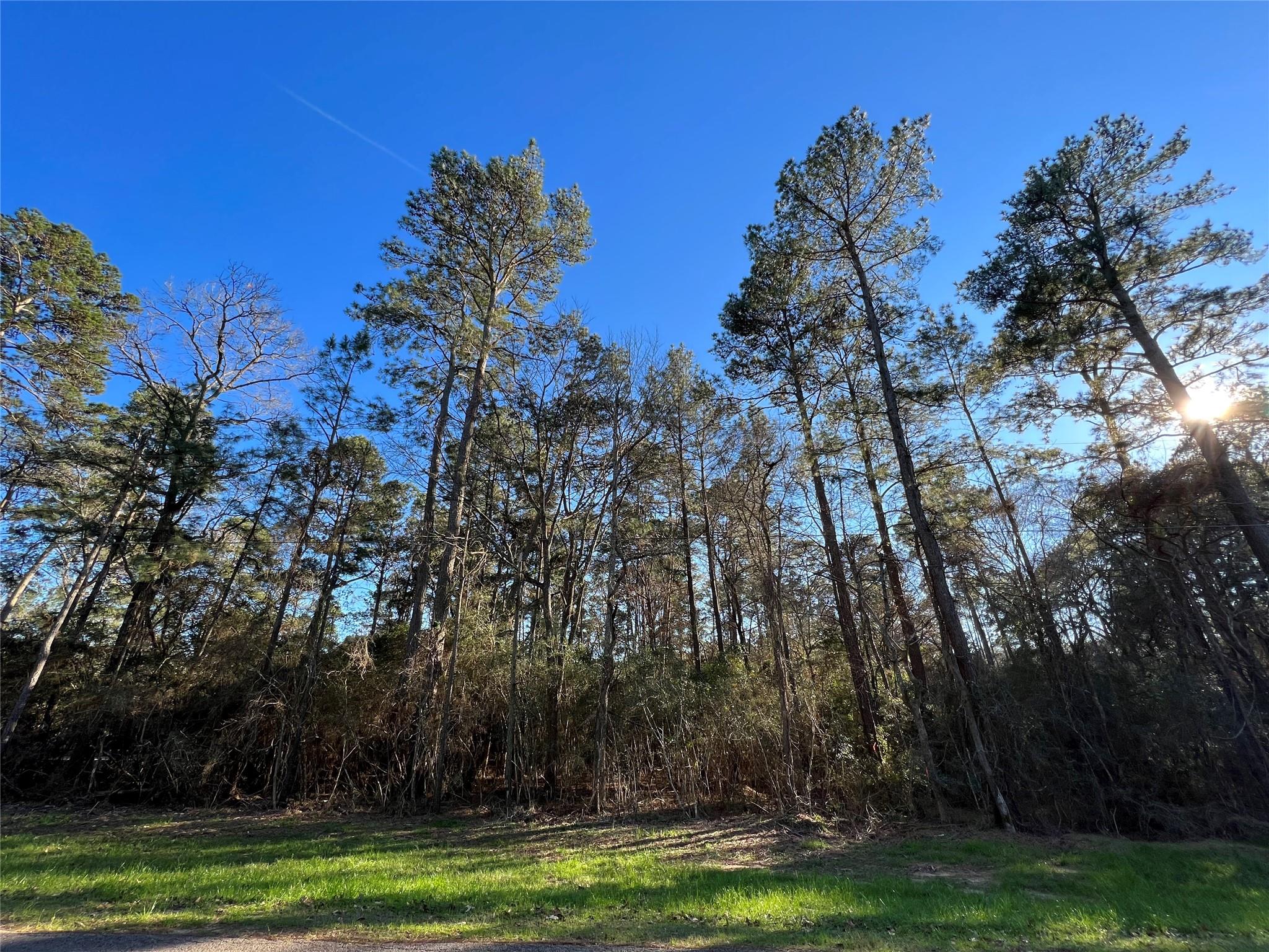 290 Greenbriar Drive