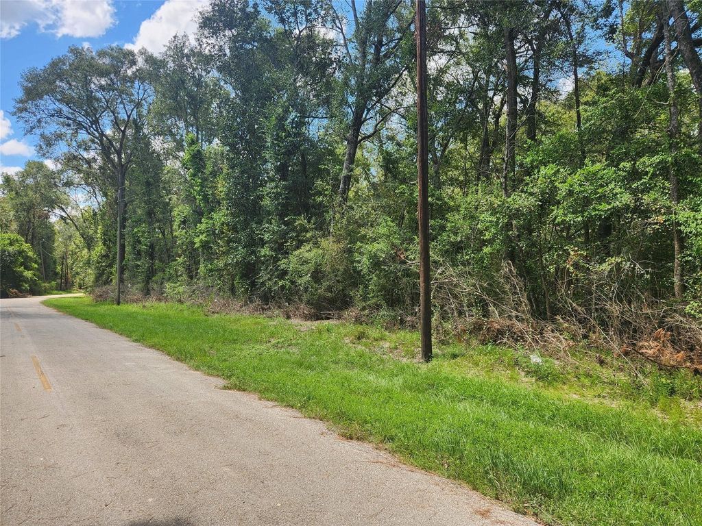 Photo of TBD Idlewild, New Caney, TX 77357 (MLS # 18291416)