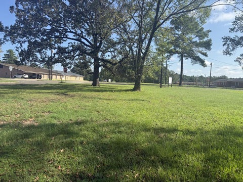 Photo of 590 Buchanan, Broaddus, TX 75929 (MLS # 75862701)