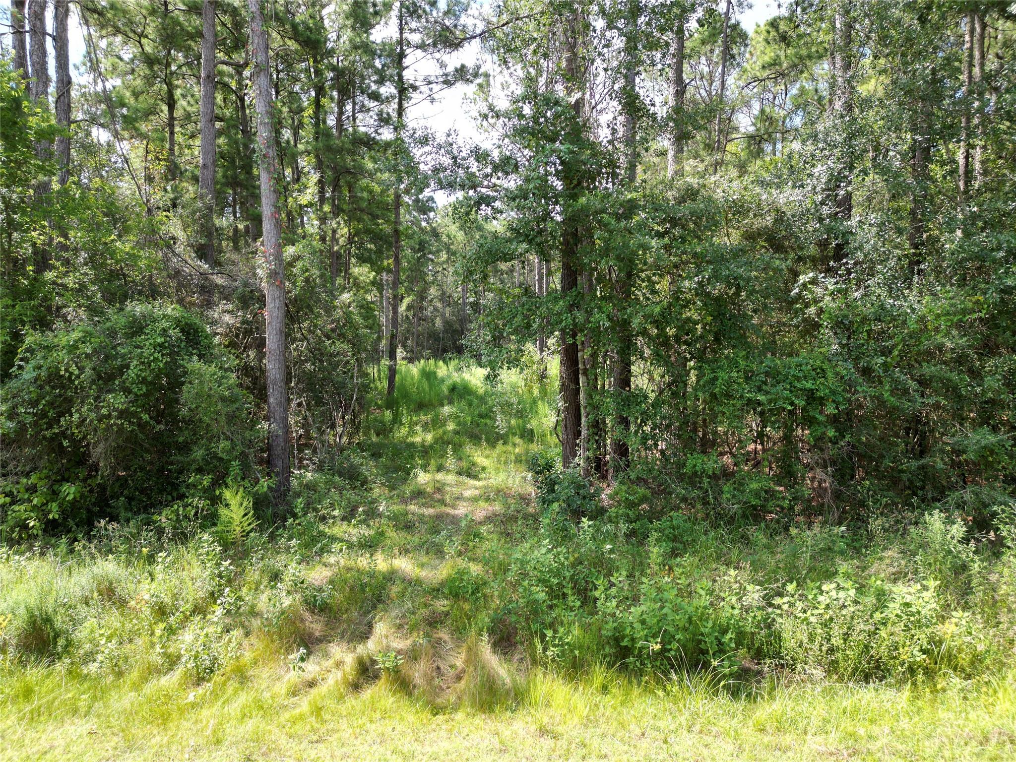 9416 Pecan Road