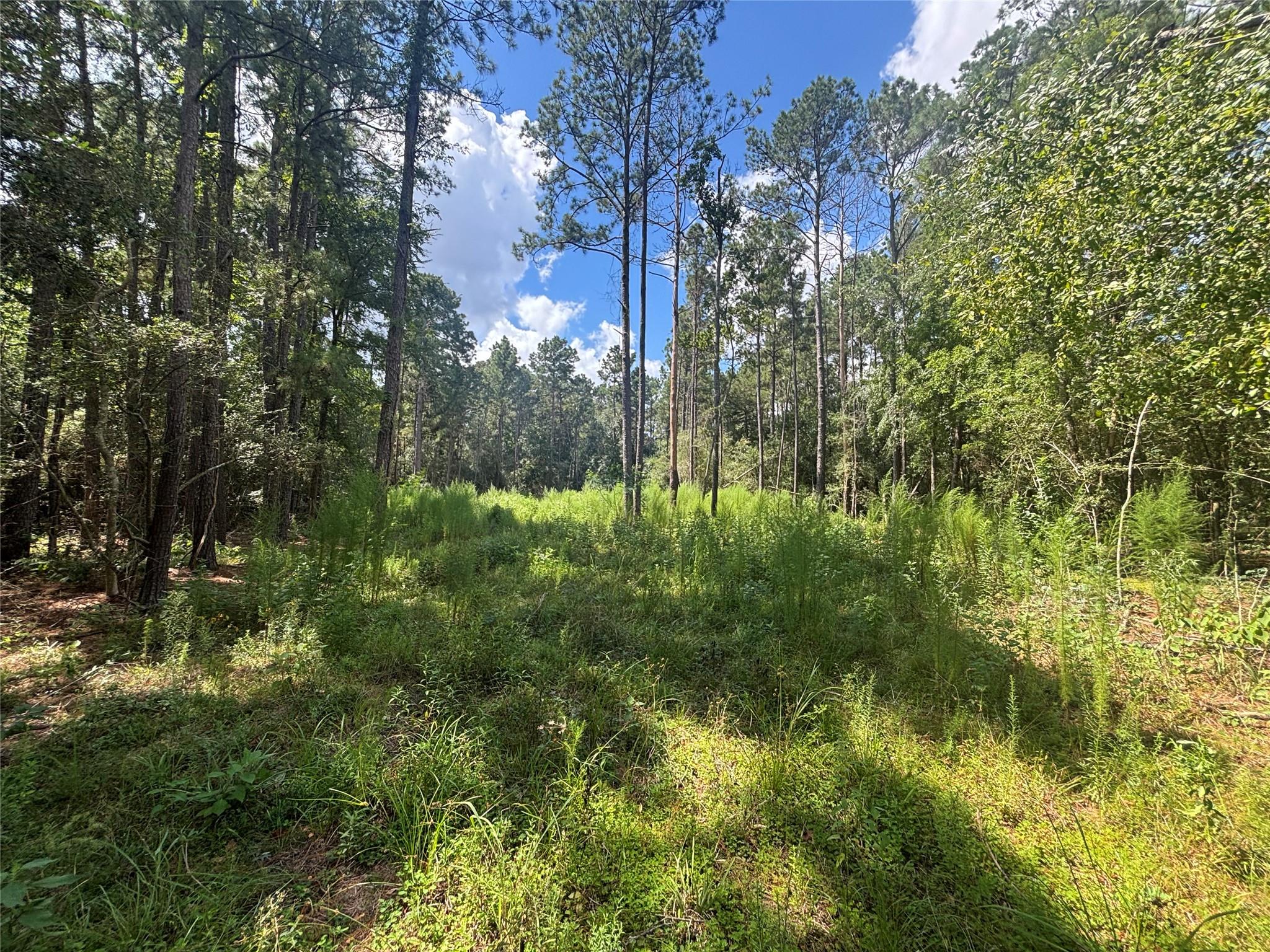 9416 Pecan Road