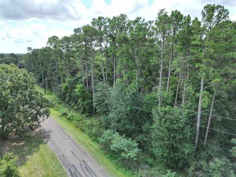 Photo of 9416 Pecan Road, Plantersville, TX 77363 (MLS # 32909439)