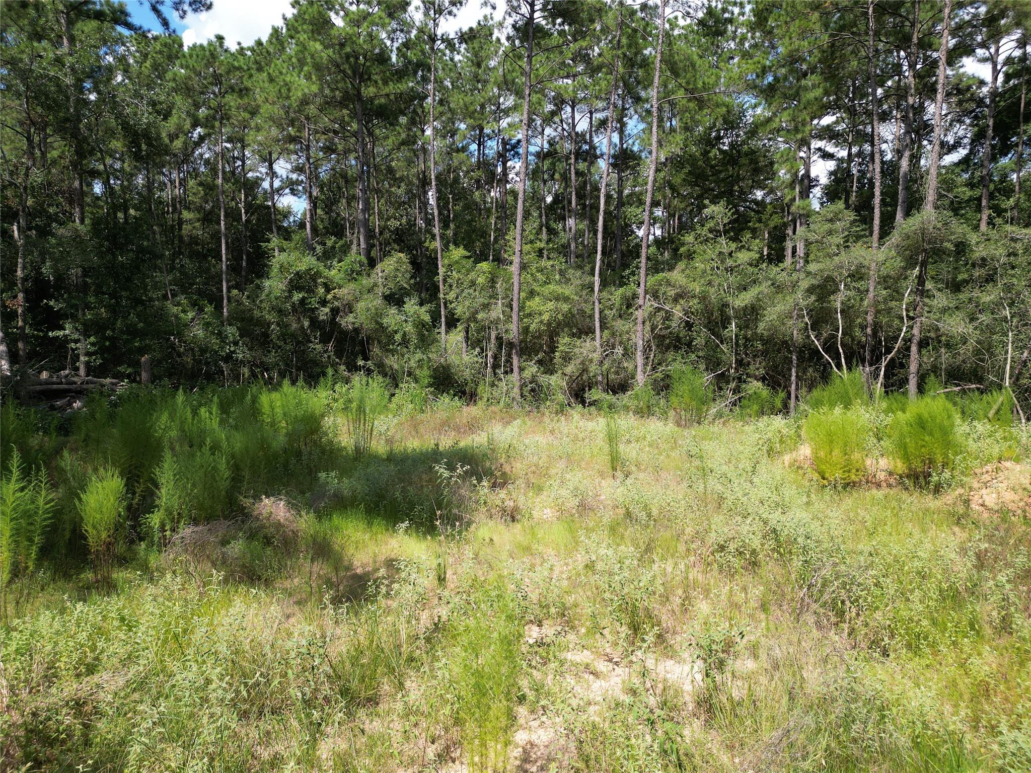 9416 Pecan Road