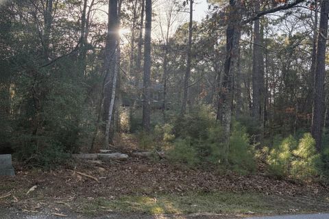 172 N Fairway Loop Coldspring TX 77331