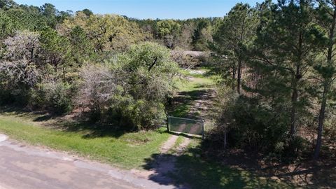 Tiny photo for 25740 Thompson Road, Waller, TX 77484 (MLS # 30252014)