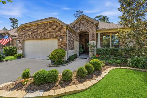 Photo of 217 Percheron Drive, The Woodlands, TX 77382 (MLS # 39108733)