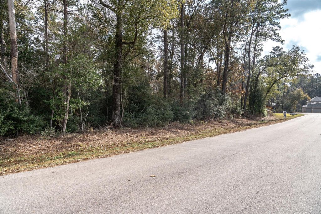 Photo of 3010 Parthenon Place, New Caney, TX 77357 (MLS # 97726101)