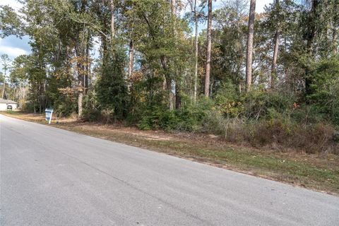 Vacant Land For Sale - 3010 Parthenon Place<br/> New Caney, TX 77357