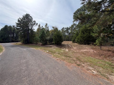 Photo of TBD Lots 65 And 73, Livingston, TX 77352 (MLS # 28574092)