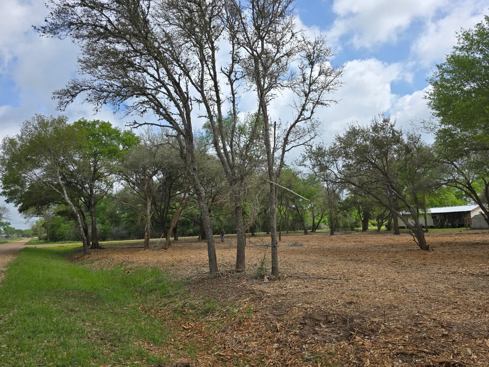 Rock Island, Texas 77470, United States, ,Land,Active,215289