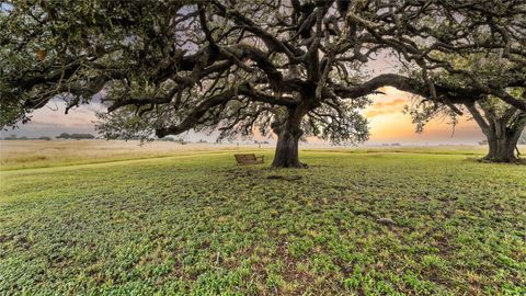 Photo of 81 Private Road 3095, Shiner, TX 77984 (MLS # 81155162)