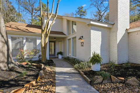 12 Rosedale Brook Court The Woodlands TX 77381
