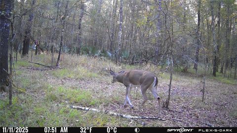 Lot 25 Frank Ln Magnolia TX 77353