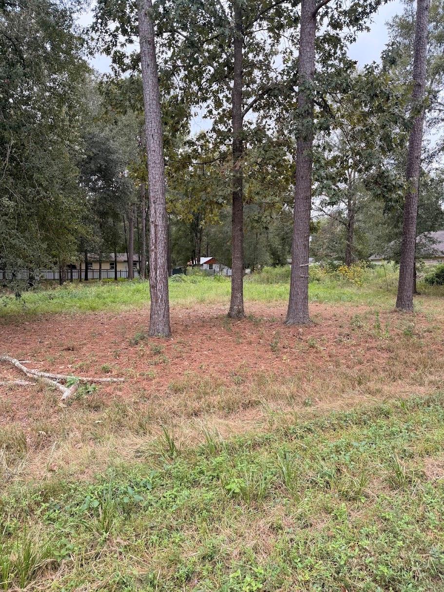 Photo of 25546 Cambridge Boulevard, New Caney, TX 77357 (MLS # 8483528)