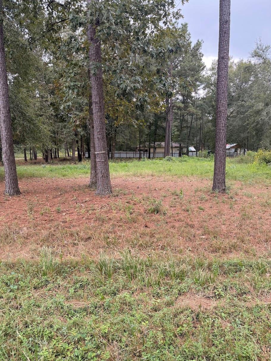 Photo of 25546 Cambridge Boulevard, New Caney, TX 77357 (MLS # 8483528)