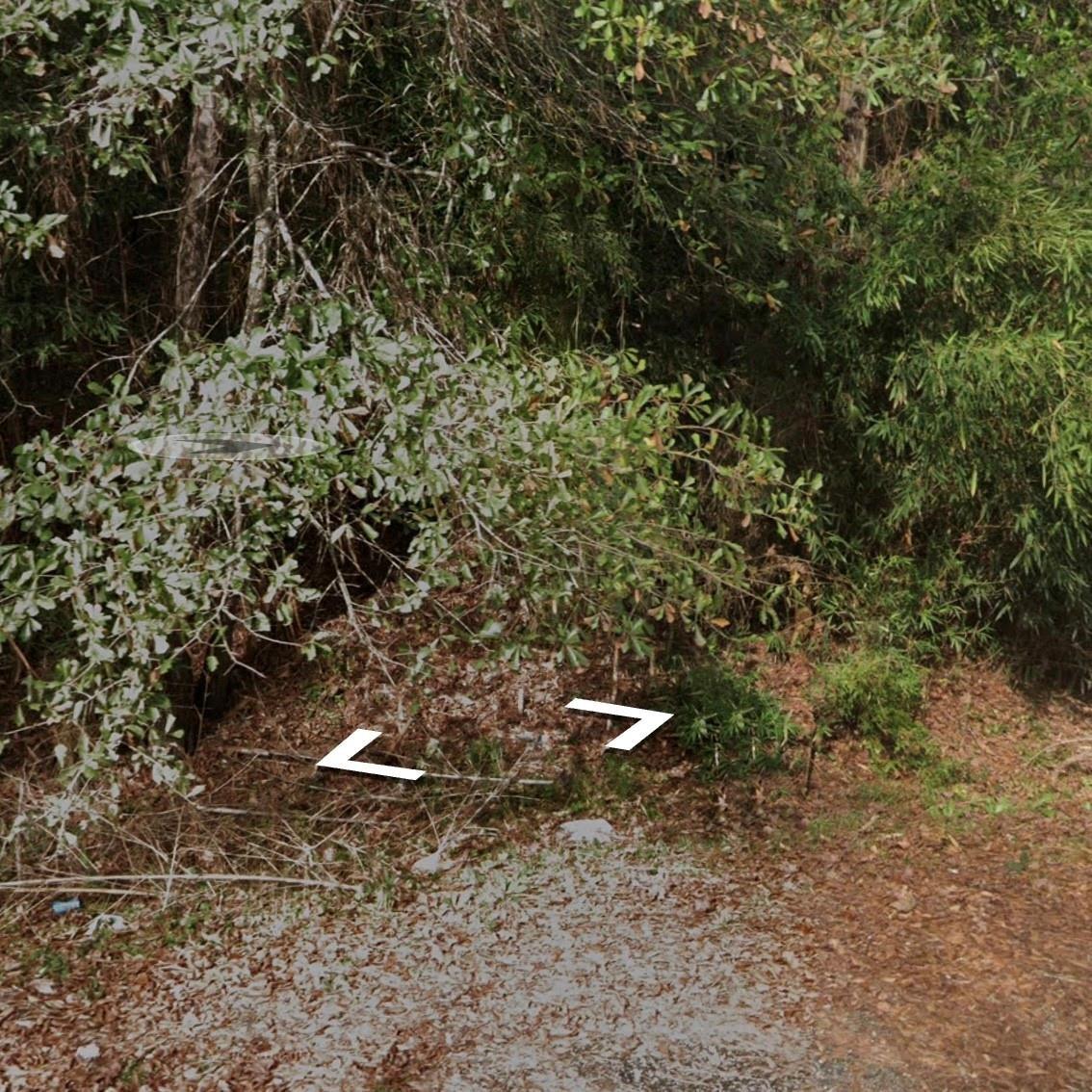 000 Chinquapin Lane