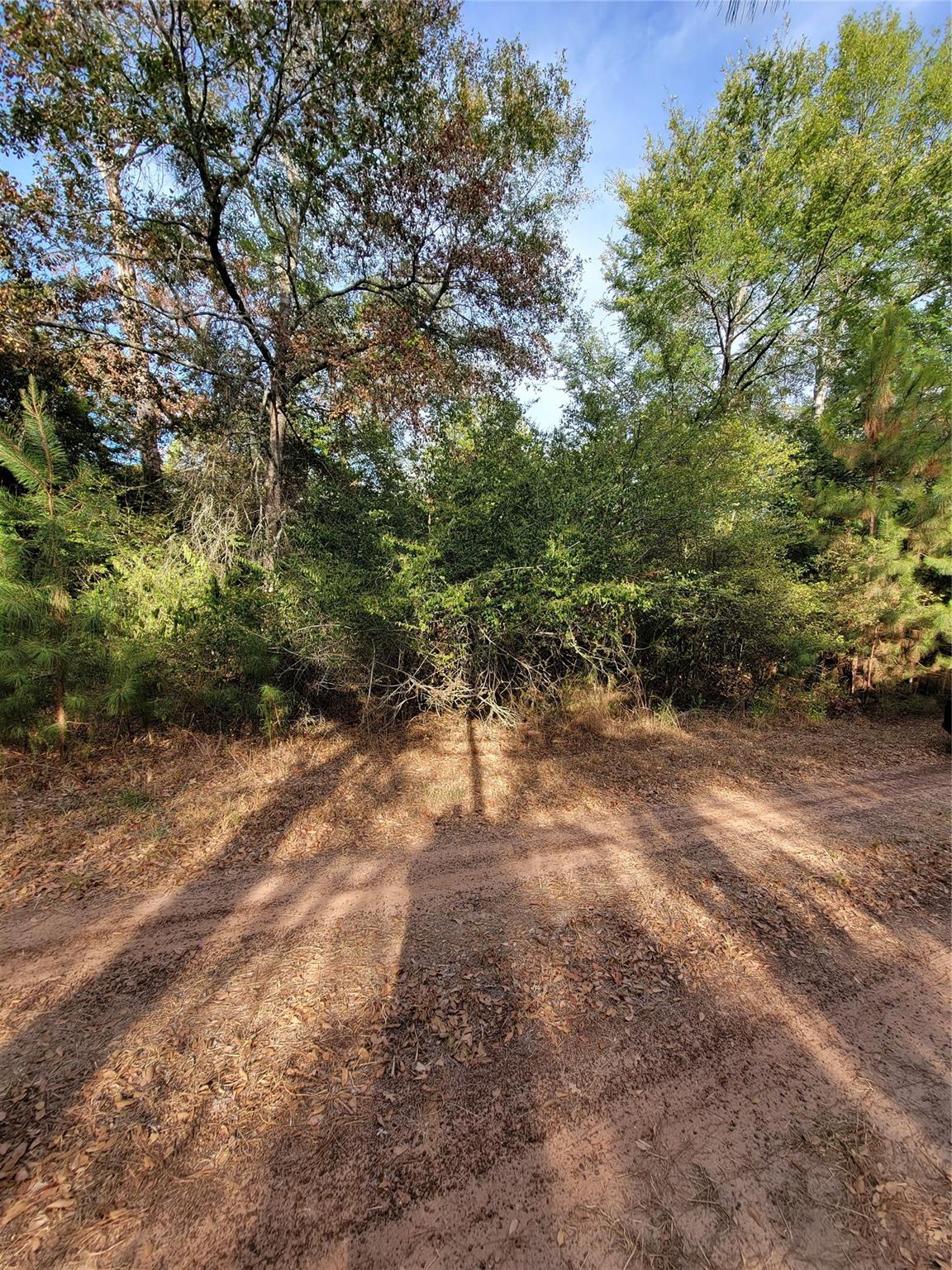 TBD Grey Wolf Dr