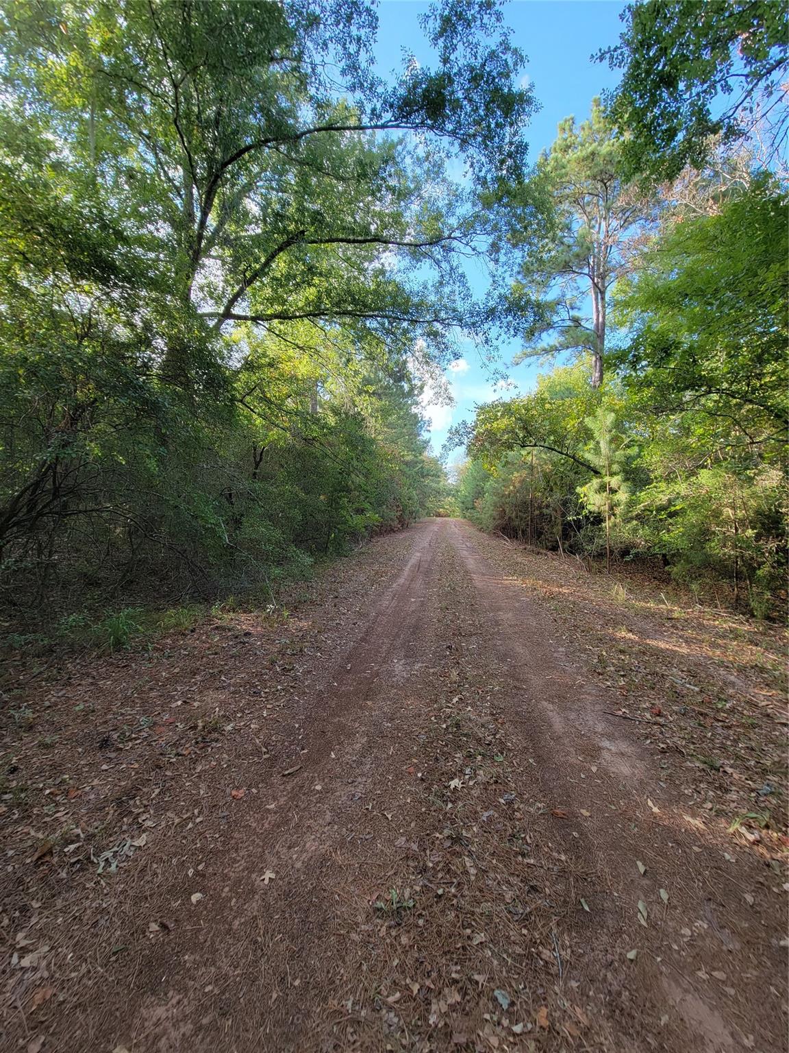 TBD Grey Wolf Dr