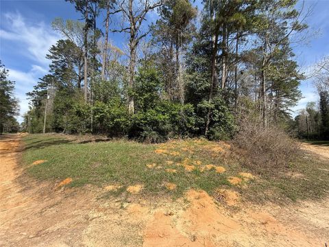 Vacant Land For Sale - TBD Glenn Barber Dale Evans Road<br/> Livingston, TX 77351