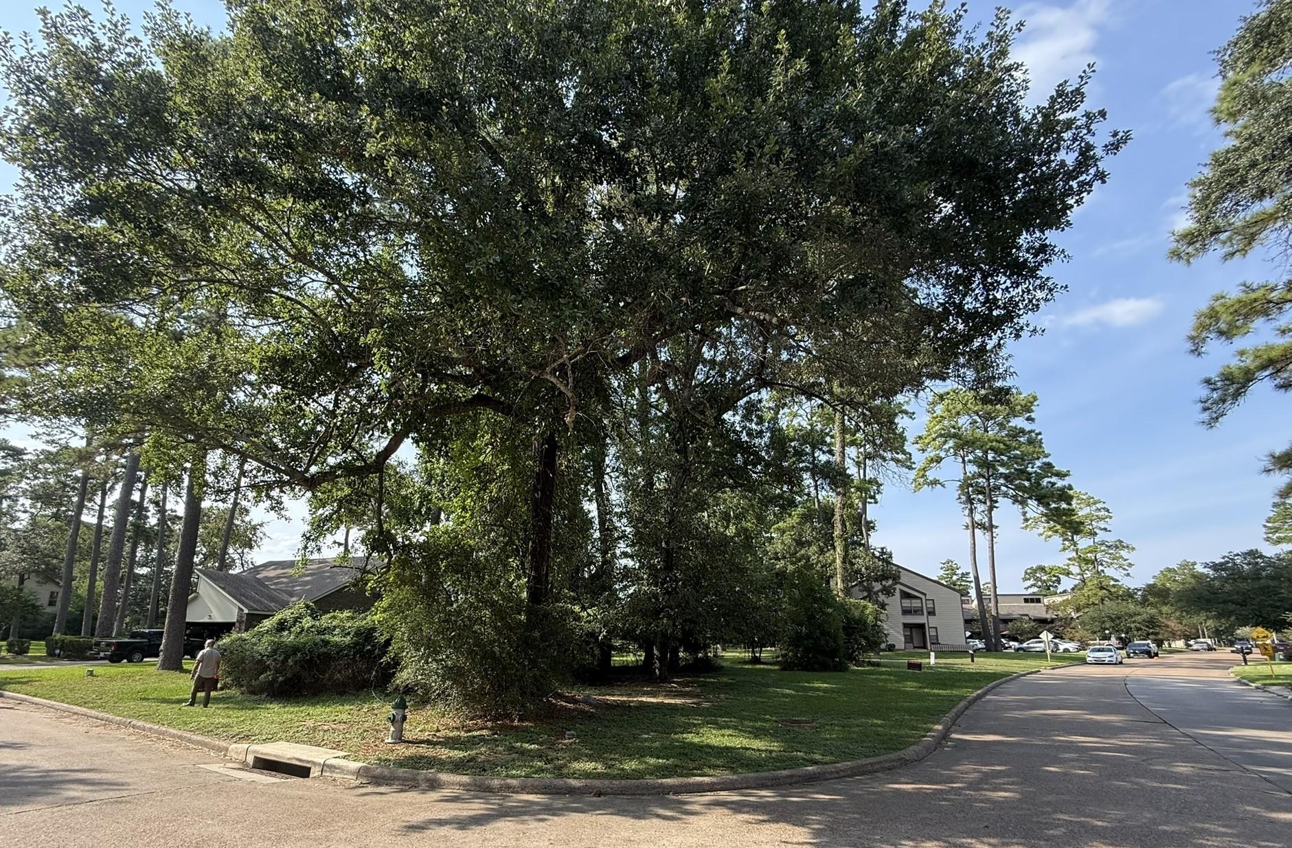 12902 Wood Harbour Drive