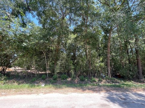 Photo of 0 County Road 3252, Cleveland, TX 77327 (MLS # 71794038)