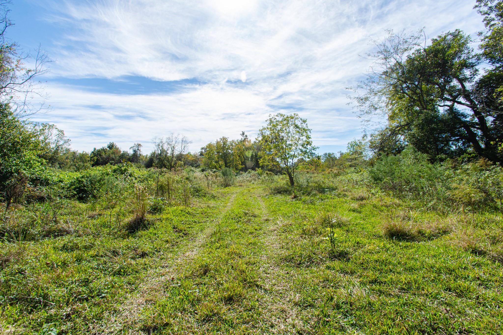 TBD Highway 36 75 Acres
