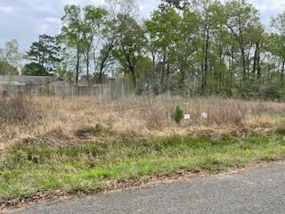 17135 Sprawling Oaks