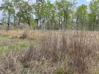 17135 Sprawling Oaks