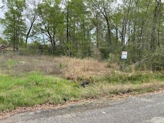 17135 Sprawling Oaks