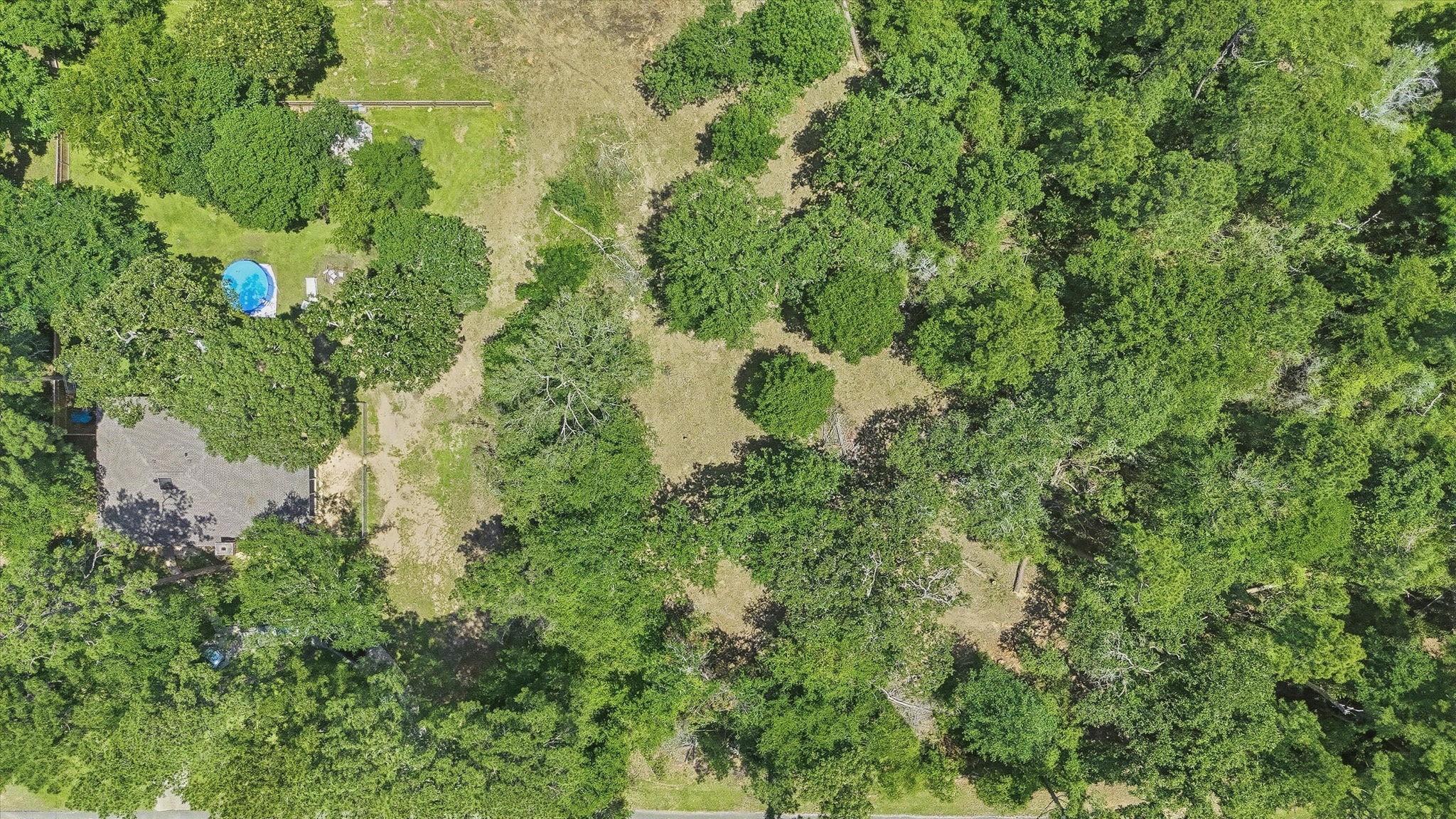 31914 Pine Crossing