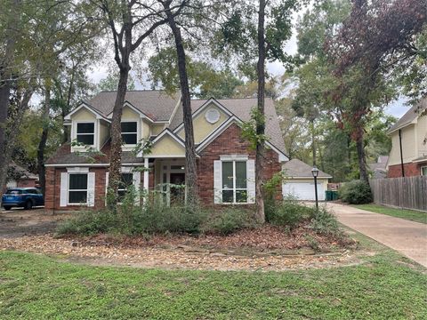 Photo of 51 Rush Haven Drive, The Woodlands, TX 77381 (MLS # 81804443)