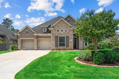 Photo of 122 Coral Bells Court, Conroe, TX 77304 (MLS # 10661860)
