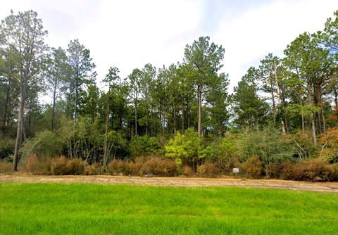 Photo of 15556 Intrepid Lane, Willis, TX 77378 (MLS # 45624944)