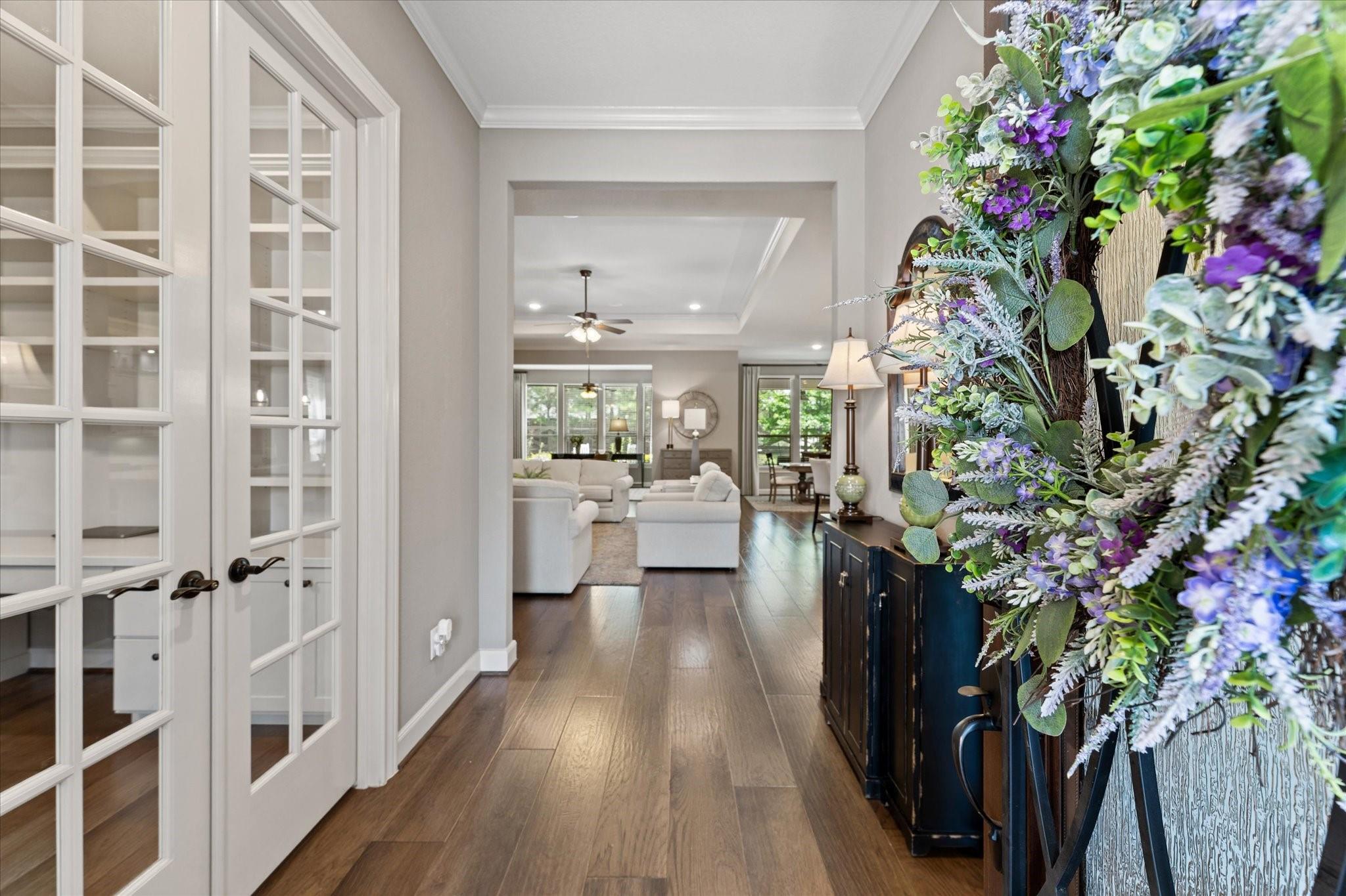245 Appaloosa Court