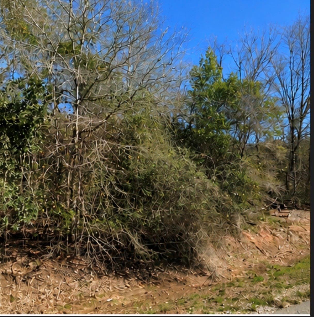 0 Hilltop Road