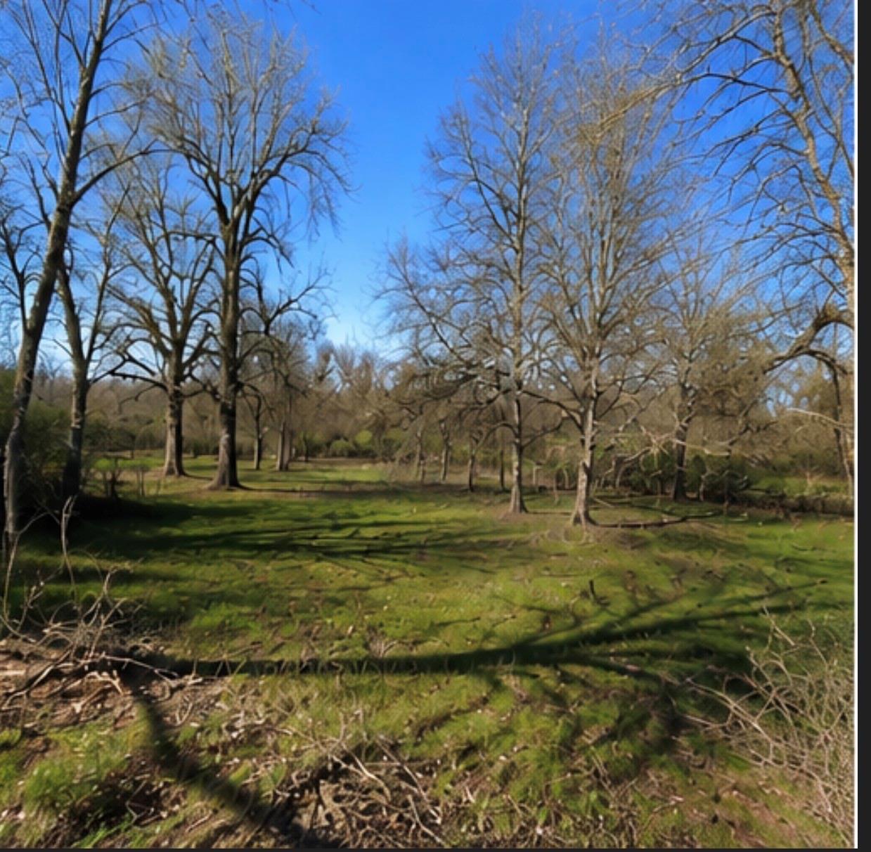 0 Hilltop Road