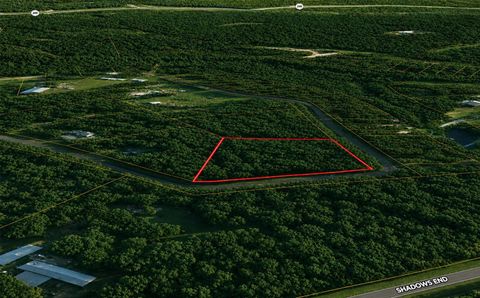 Photo of 9102 Blue Lake Drive, Plantersville, TX 77363 (MLS # 90294718)