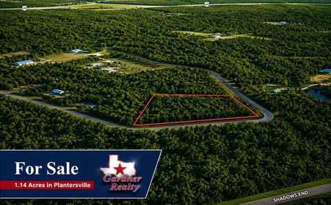 Vacant Land For Sale - 9102 Blue Lake Drive<br/> Plantersville, TX 77363