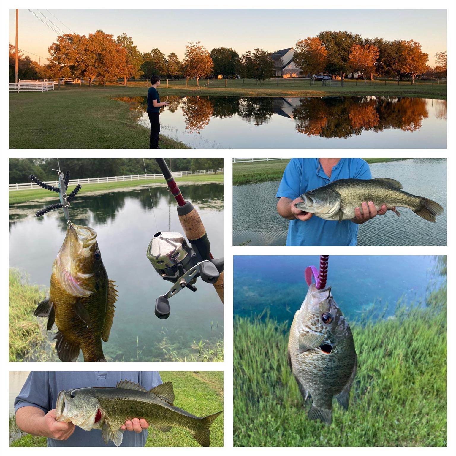 26831 Stockdick School Road