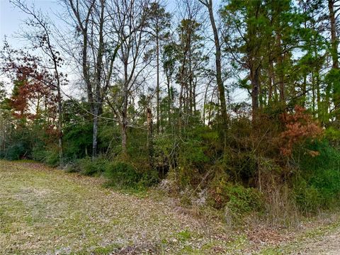 Photo of TBD Tallow Street, Onalaska, TX 77360 (MLS # 63772932)