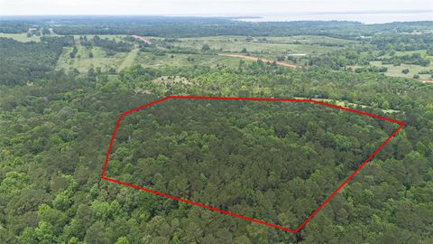 Photo of 0 Rose Hill Road, Coldspring, TX 77331 (MLS # 43497262)