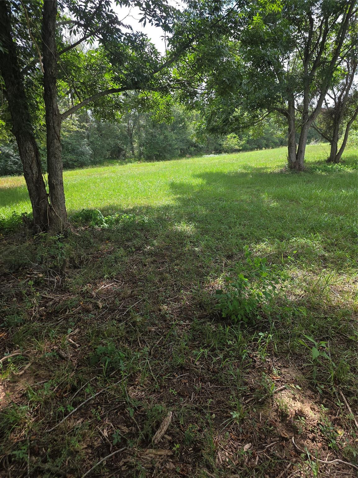 16834 Wrangler Road